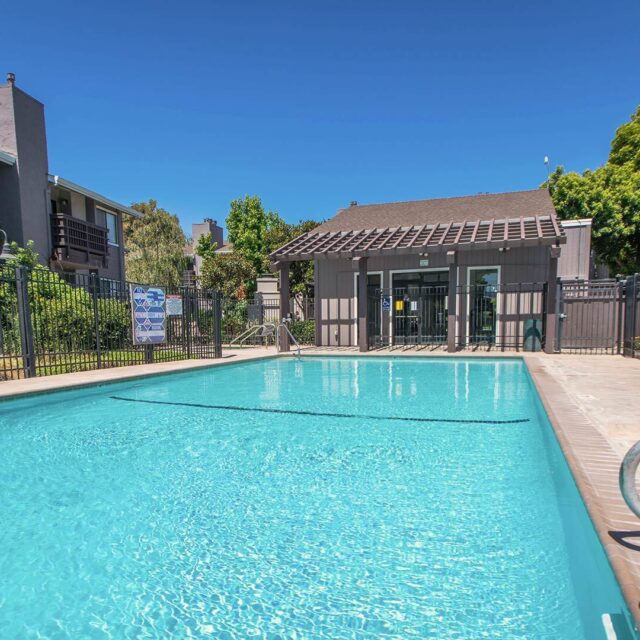 Laurel grove pool view 1