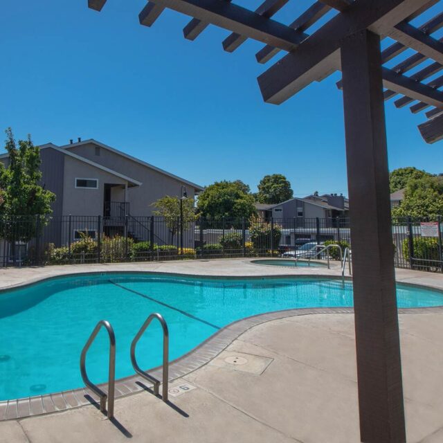 Laurel grove pool view 4