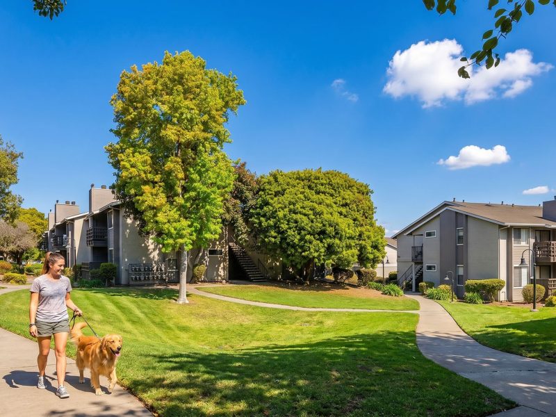 Laurel grove grounds