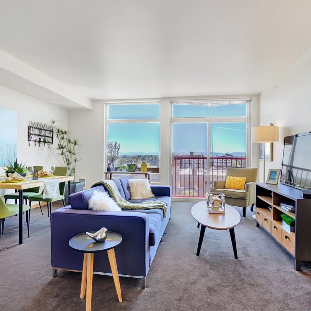 Link seattle purple couch