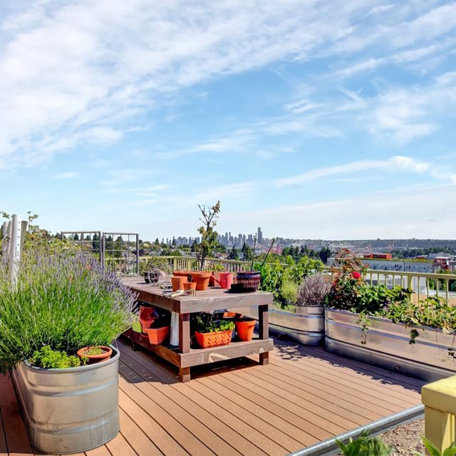 Link seattle rooftop garden boxes