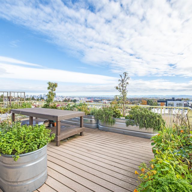 Link seattle rooftop garden
