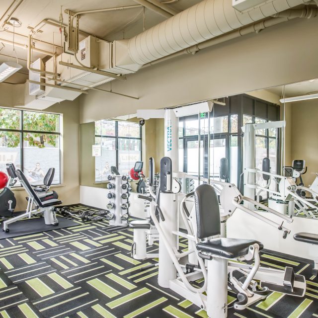 Link seattle weights