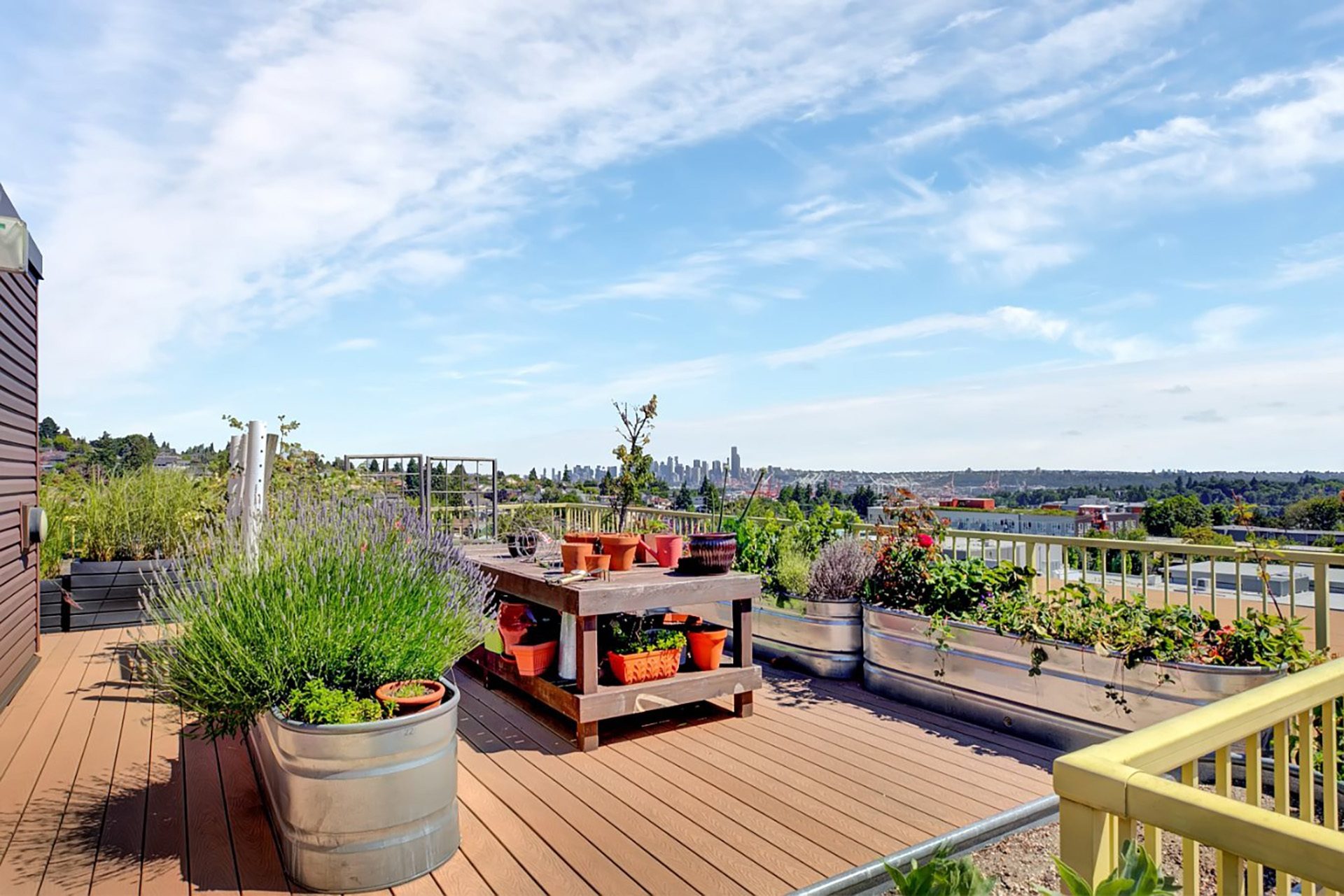 Link seattle rooftop garden boxes