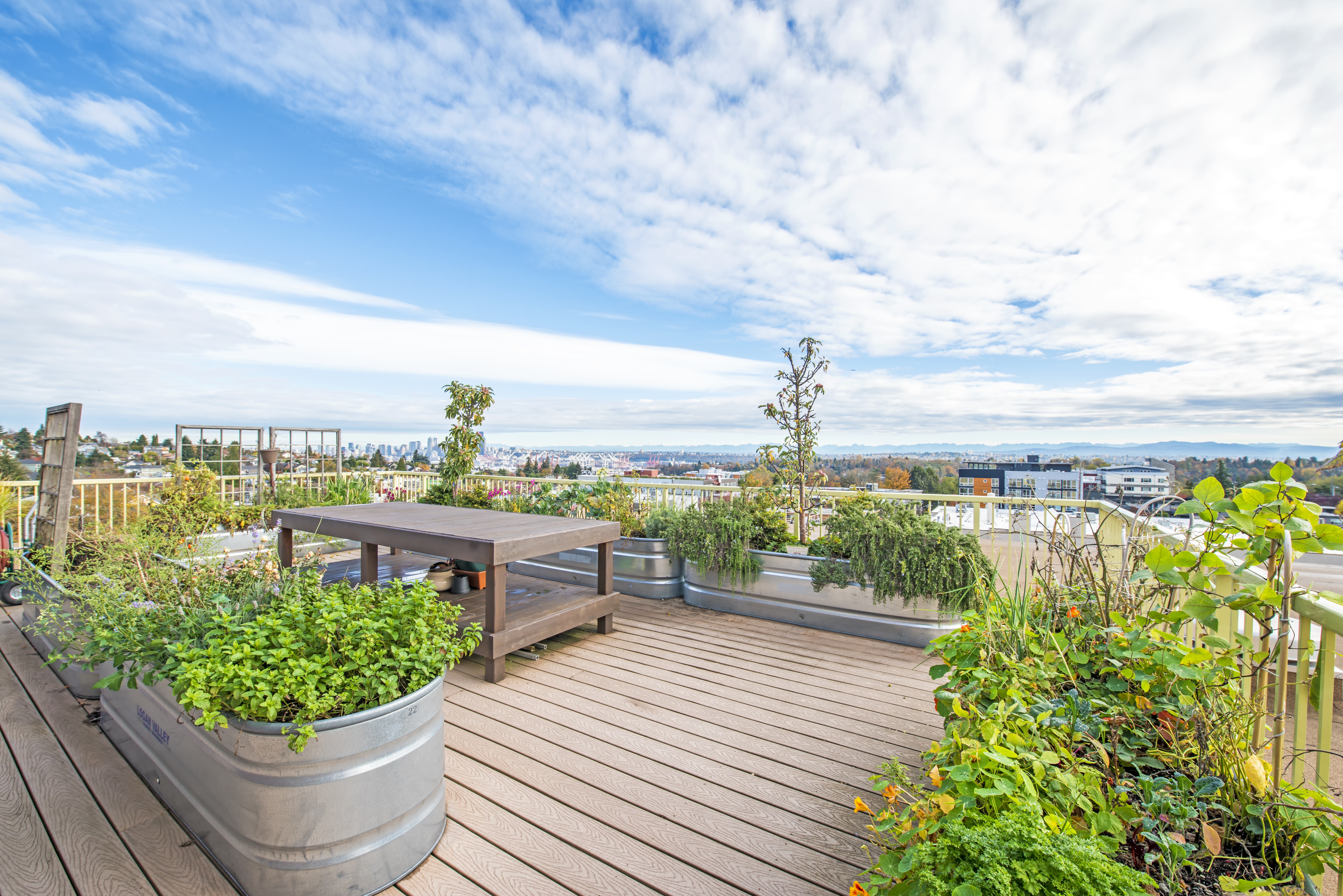 Link seattle rooftop garden