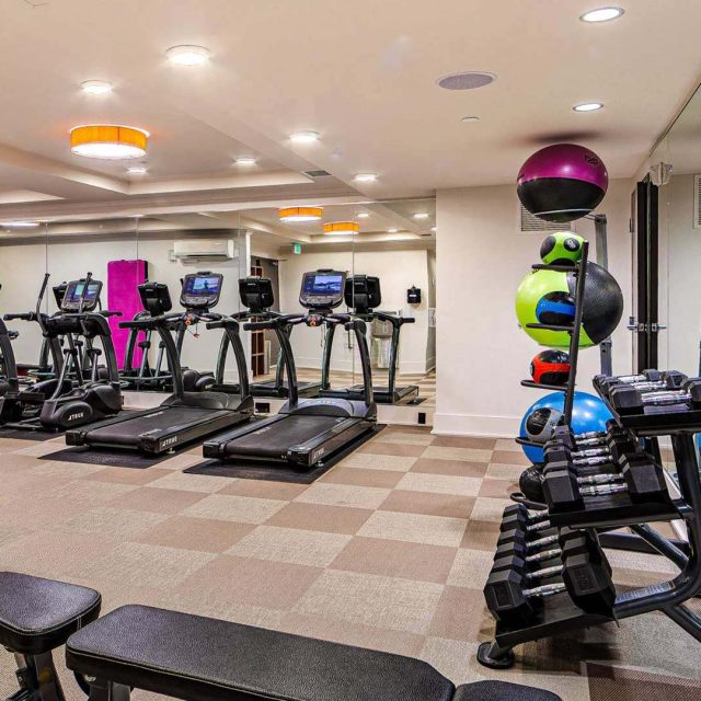 The Margot Fitness View1 A