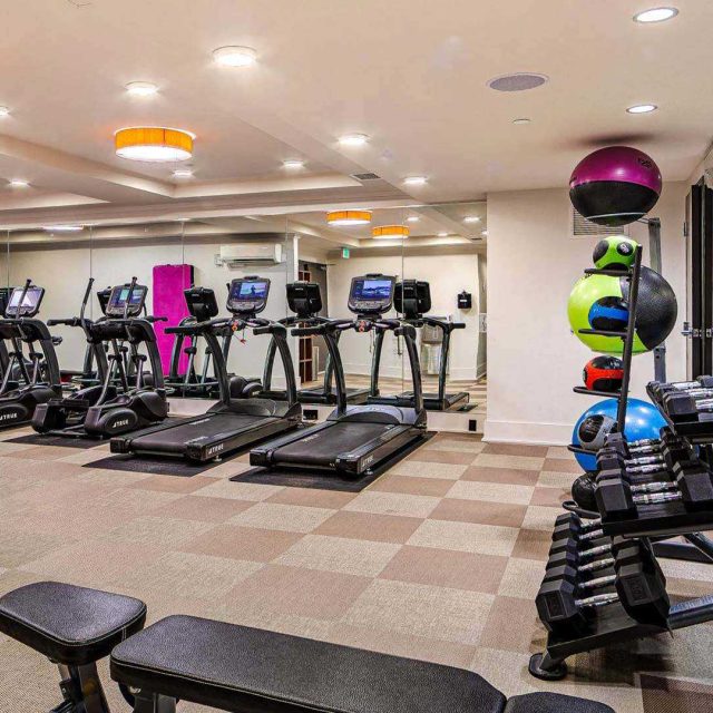 The Margot Fitness View1 A