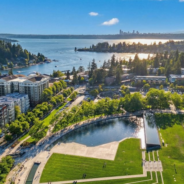 The margot bellevue aerial2