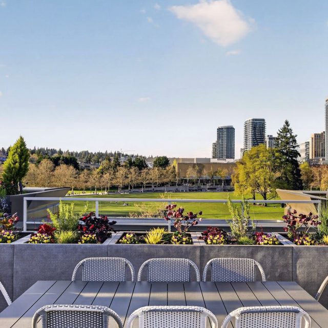 The margot rooftop table city view