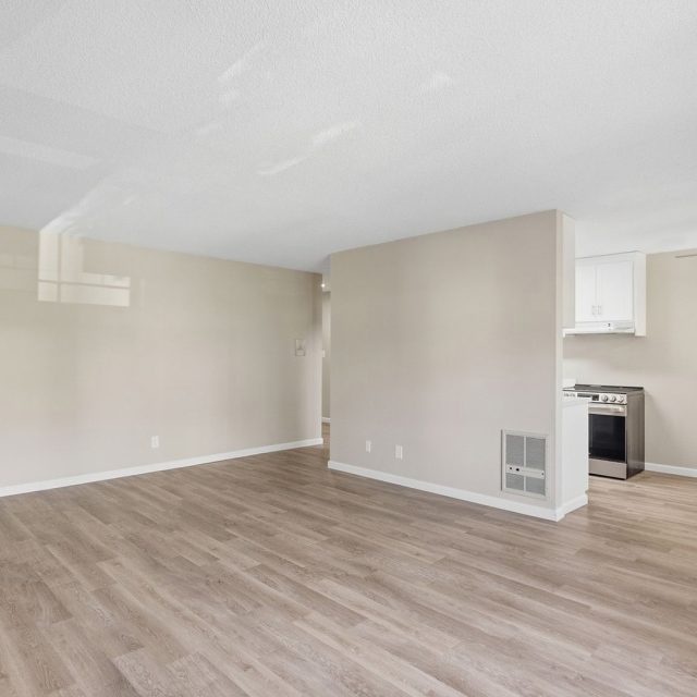 Mariposa 303 living2