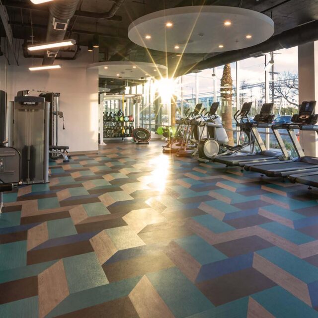 Mira apartments fitness 2