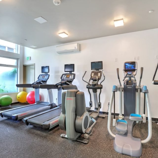 Mural aparments gym 03