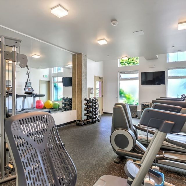 Mural apartments gym 02