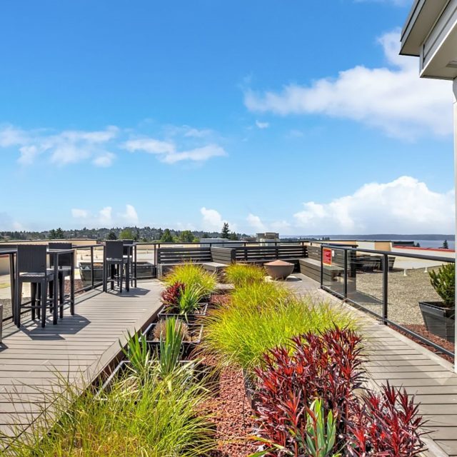 Mural apartments rooftop 01