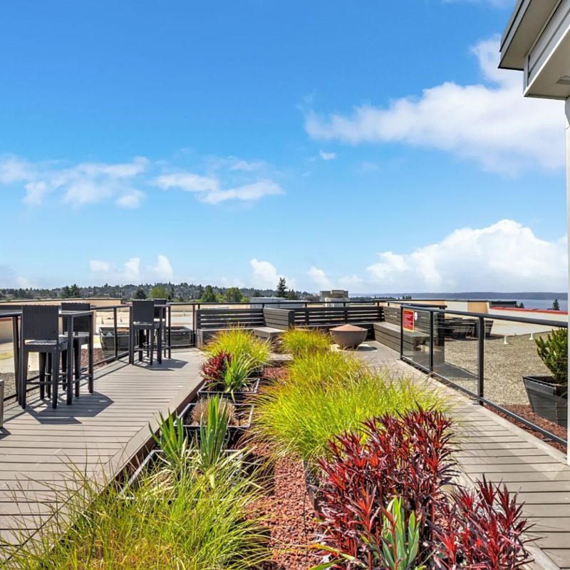 Mural apartments rooftop 01