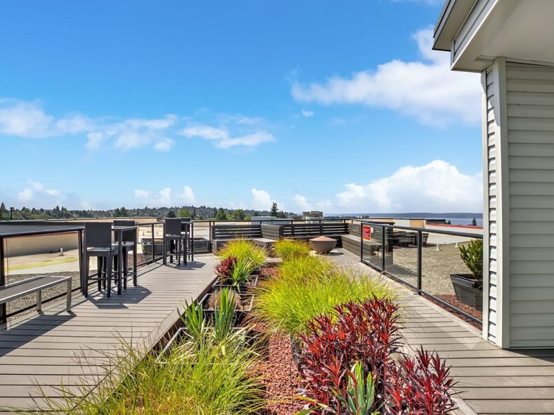 Mural apartments rooftop 01