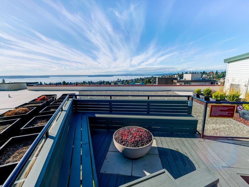 Mural Apartments Rooftop View