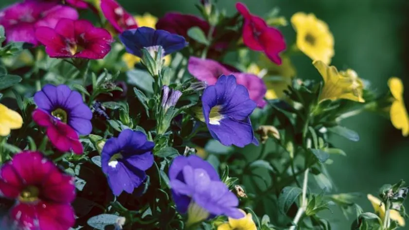 Newsletter 69a8c5f1d2773 stockimg 2 14312482 ec952ba7d770ad4e