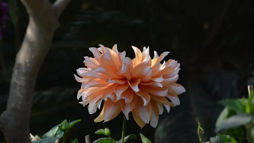 Newsletter 69d42ca6a5d0a stockimg 2 31563772 990b6d045104513c