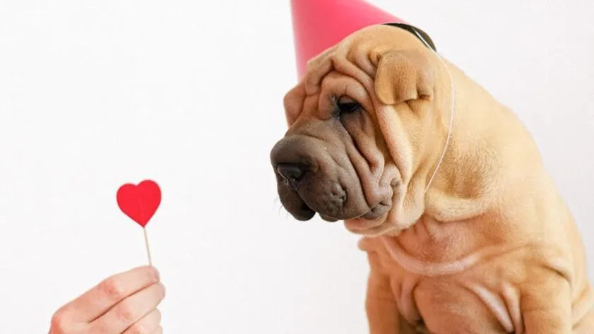 Newsletter 698b68459cf72 stockimg 2 4588047 4d689fa4508a1106