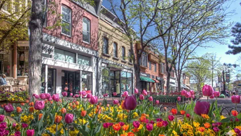 Newsletter 69a611608bd7a Gemini Generated Image z6lniuz6lniuz6ln c09f75c886ea6a15