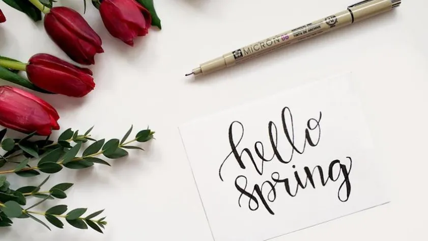 Newsletter 69a8b480b3c2f stockimg 2 920147 ec952ba60c01bd5f