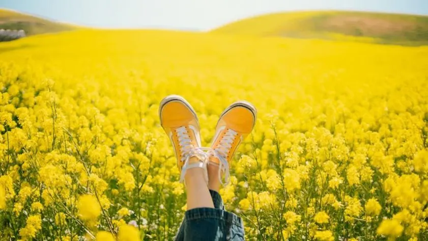 Newsletter 69a62245756fb stockimg 2 16465988 38c4aabda058674c