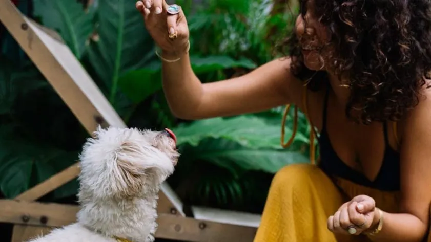 Newsletter 69d42f4c3c11b stockimg 2 6268731 4d6362349bafacc6