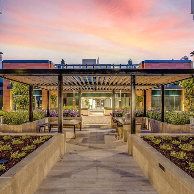 Realm landscaping sunset