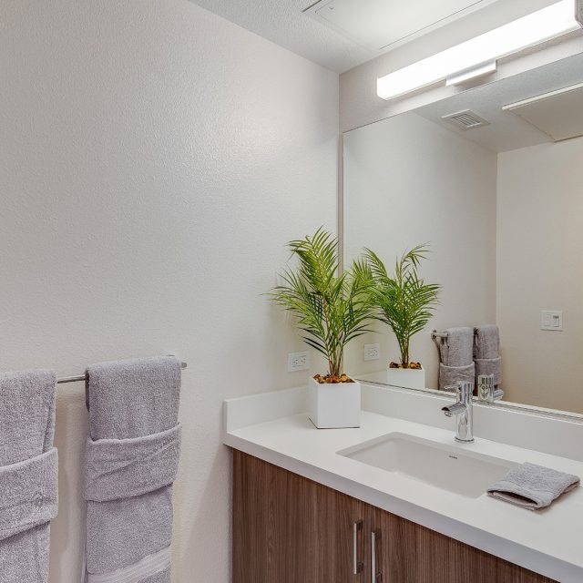 Realm model bathroom view2