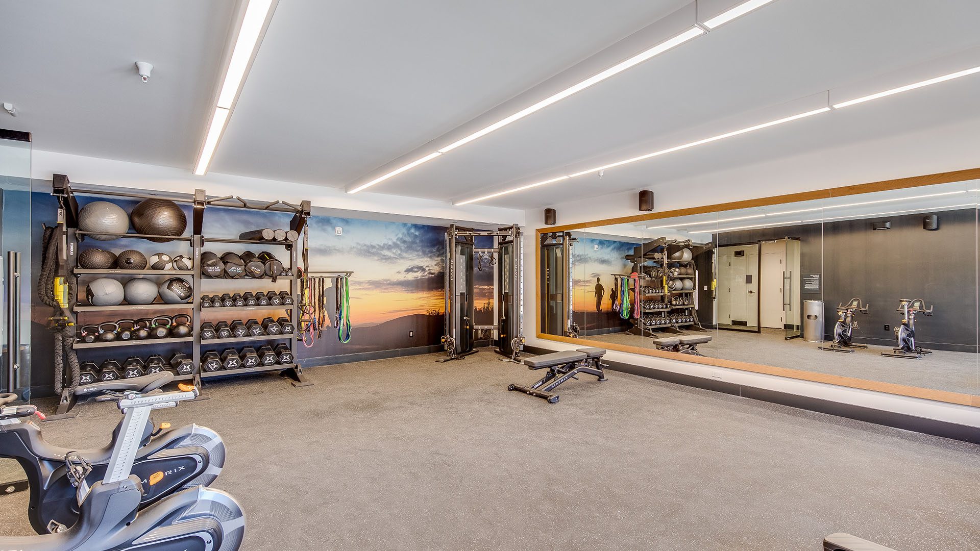 Realm fitness view1