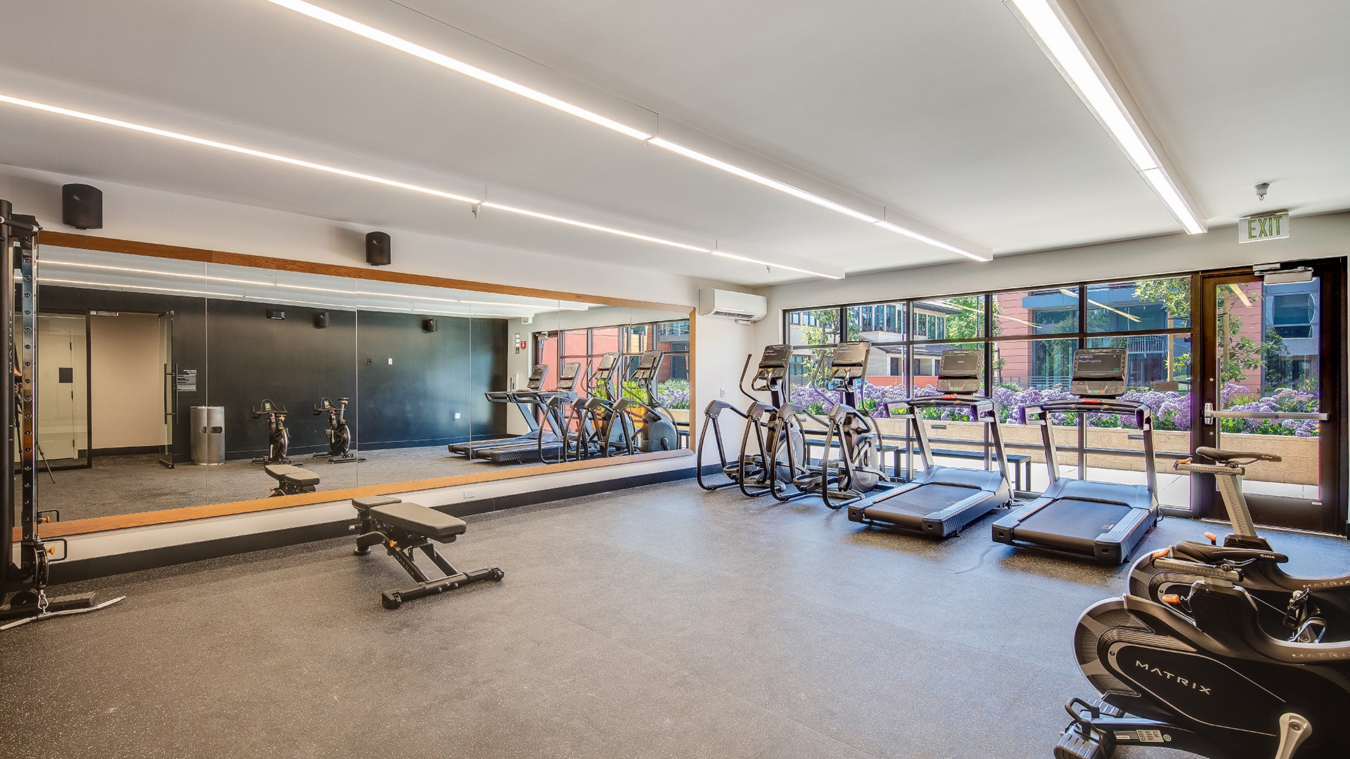 Realm fitness view2