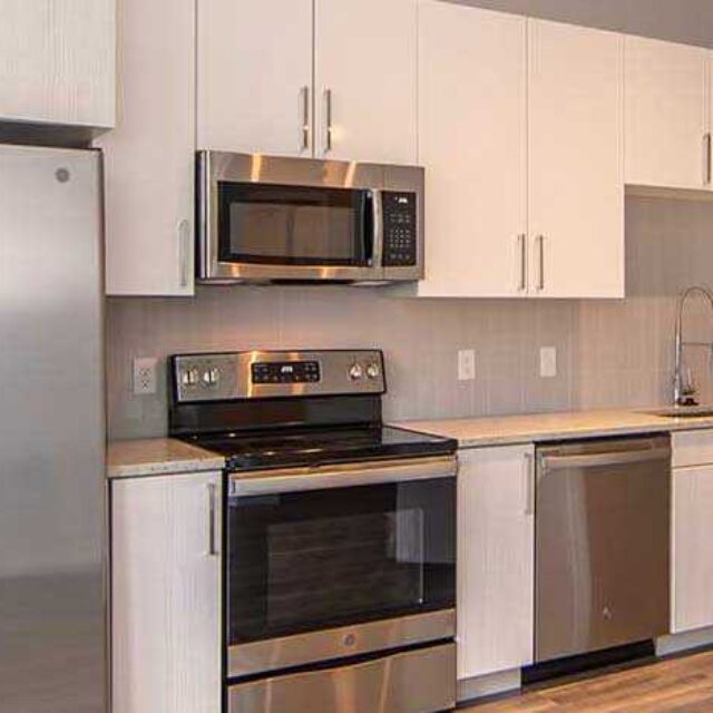 A2 - 1 Bedroom - (Cool) - 737 sq ft