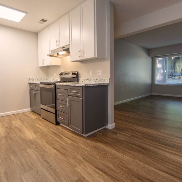 Sierra vista alpine kitchen view 2