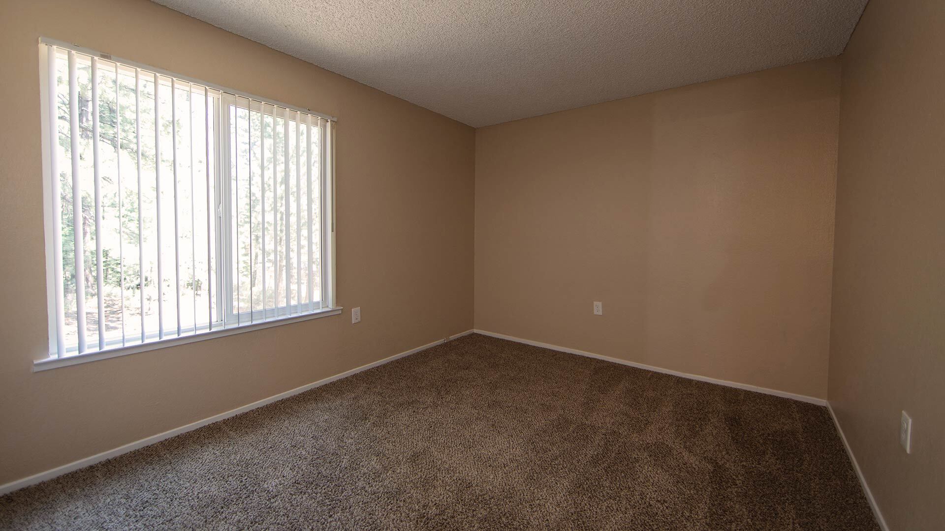 Sierra vista diamond peak livingroom view 3