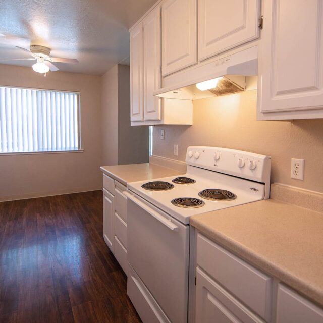 Sierra vista mt rose kitchen view 2