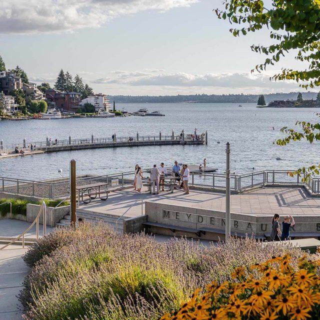 Stokely bellevue bellevue local view3