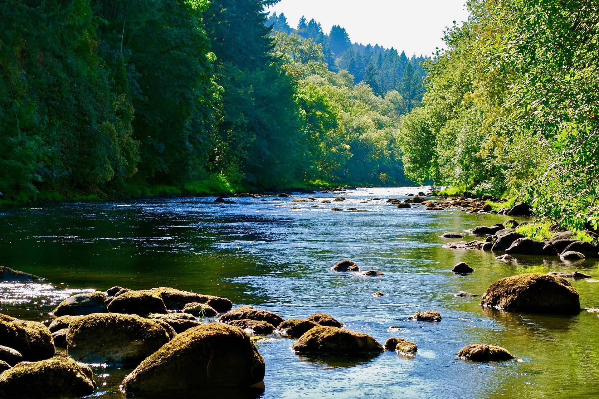 Summerlin tualatin river i Stock 1172610088