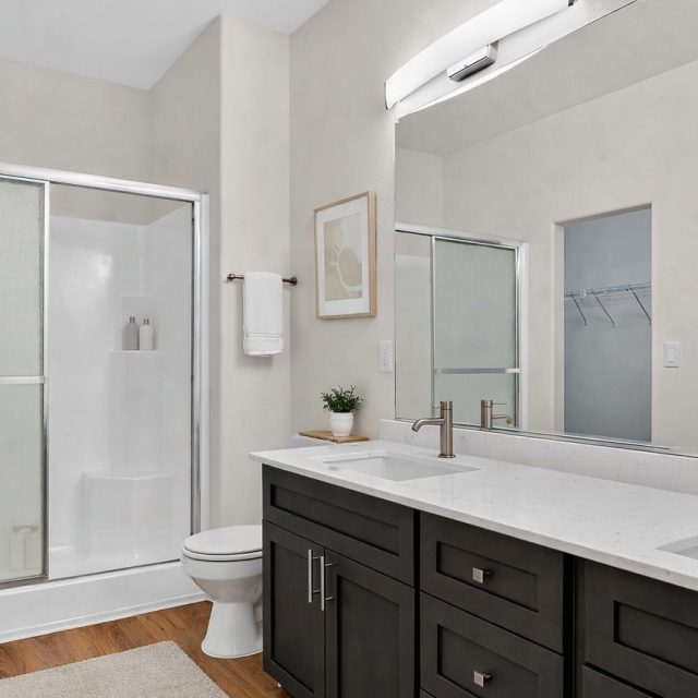 Summerlinn 1480 Furnished Bathroom1