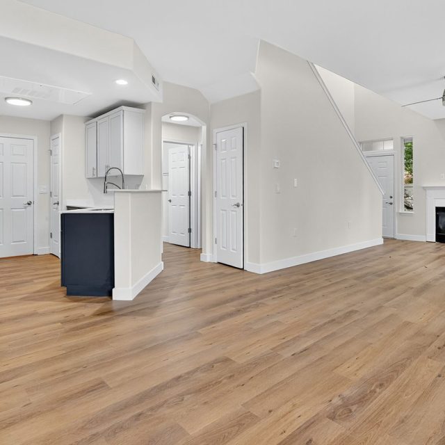 Summerlinn 1480 living view3