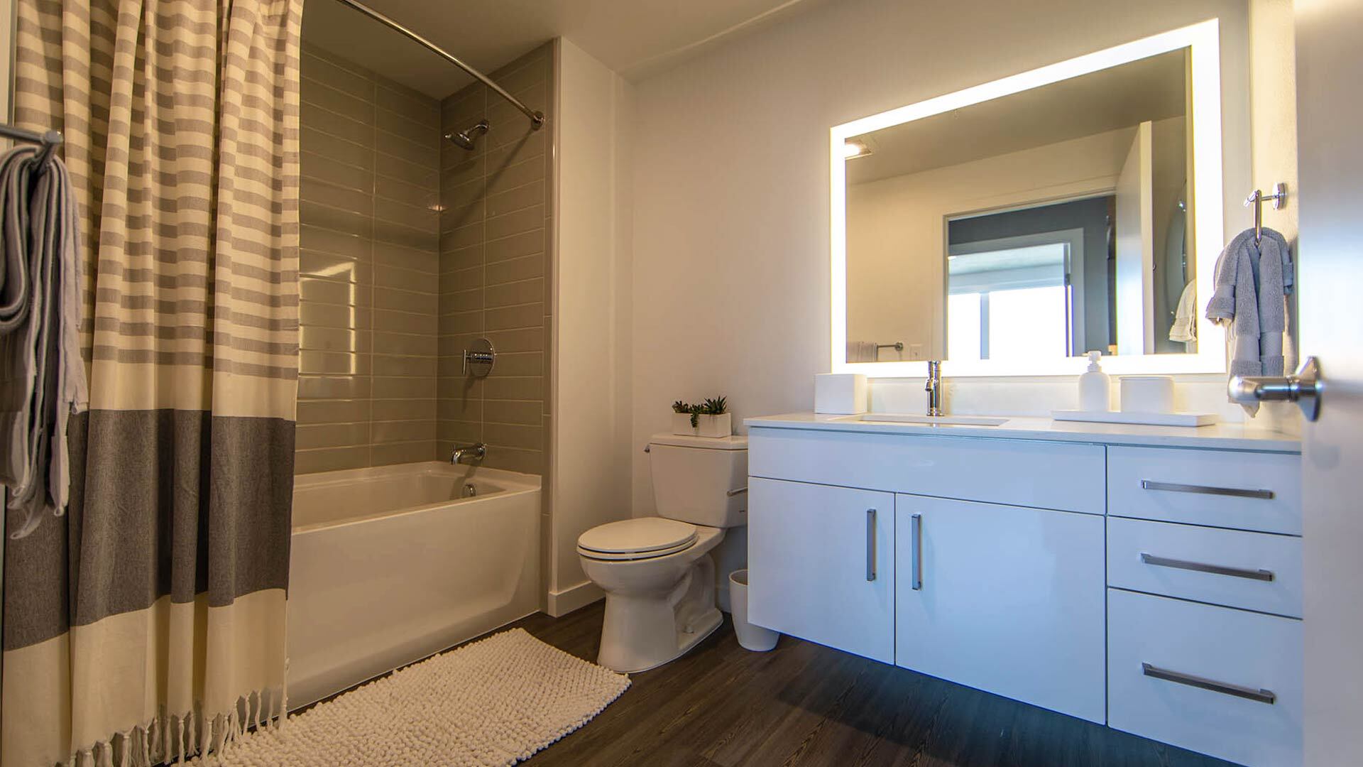 Goss C2 1br model bathroom view 1