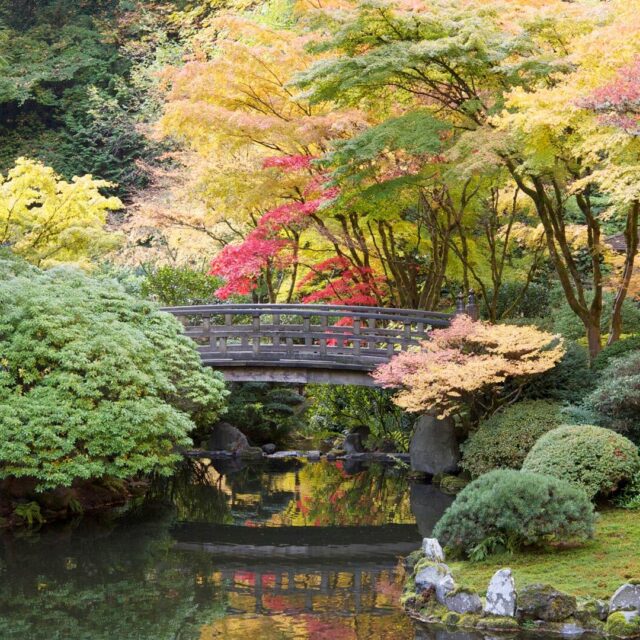 Goss neighborhood portland japenese garden