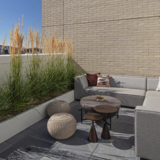 C2 - 1 Bedroom - 596 sq ft