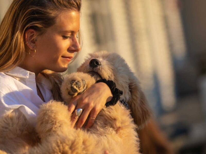 Upland lifestyle woman with dog