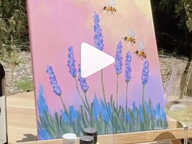 0525 news lavender festival upland