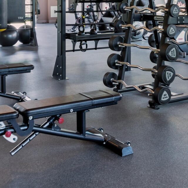 Vilara community fitness center weight bench