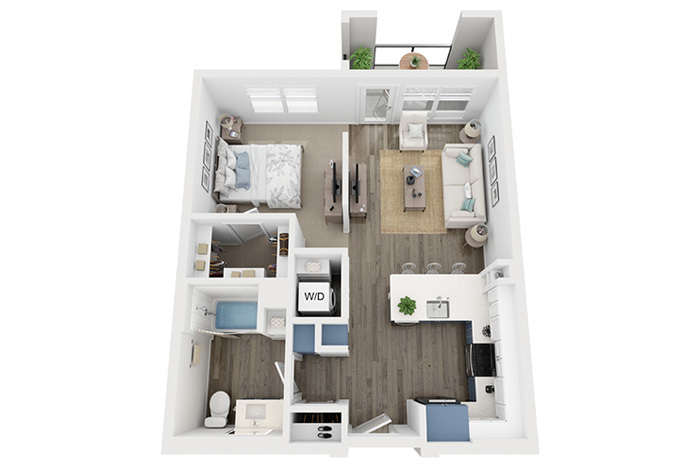 Plan Image: The Choice