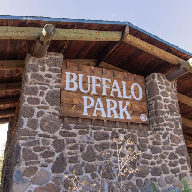 Vlm flagstaff buffalo park view 1