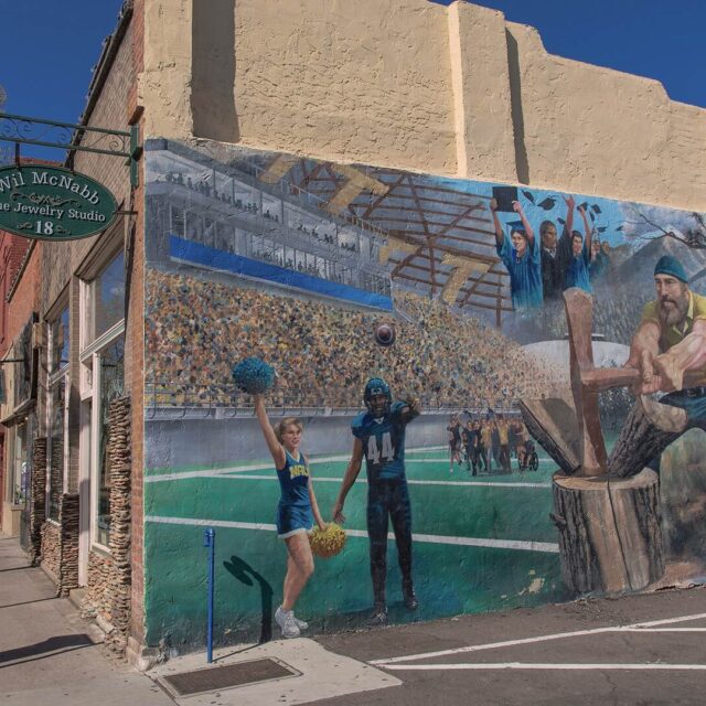Vlm flagstaff wil mcnabb mural