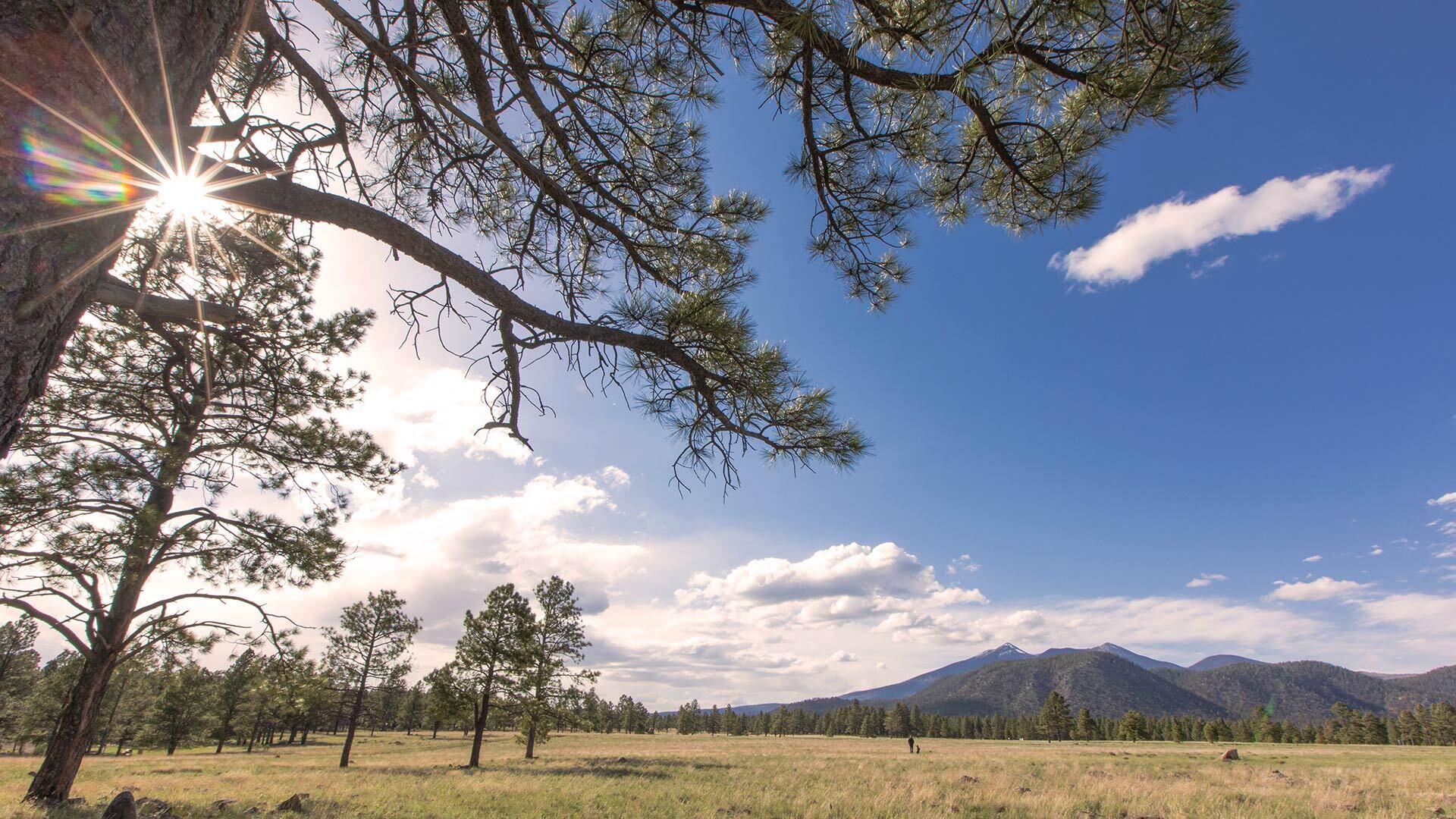Vlm flagstaff mountain view 2